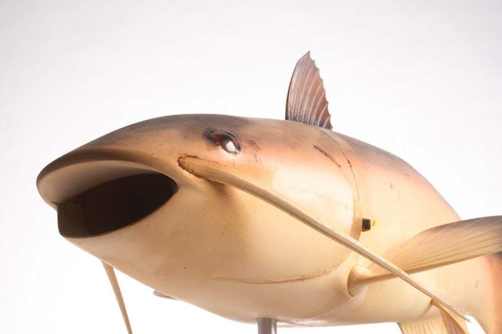 CIA Museum. Robot Fish "Charlie"